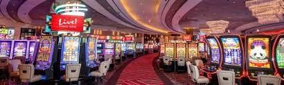 6600 bet